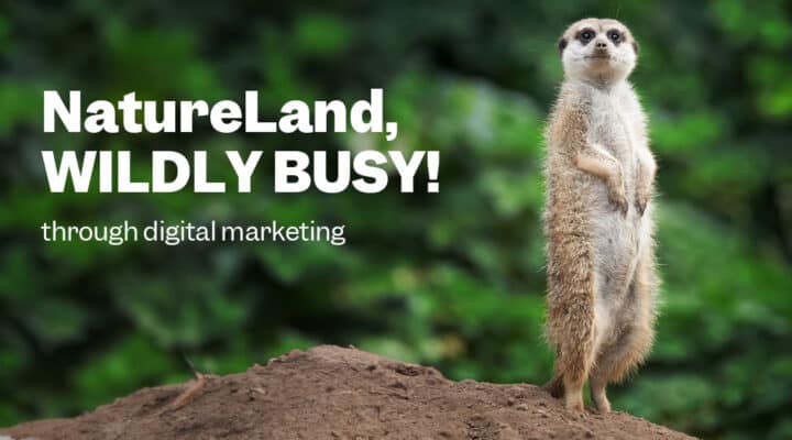 Meerkat standing on hill next to words "NatureLand, wildly busy!"