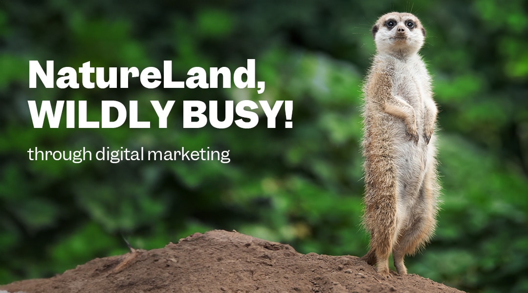 Meerkat standing on hill next to words "NatureLand, wildly busy!"